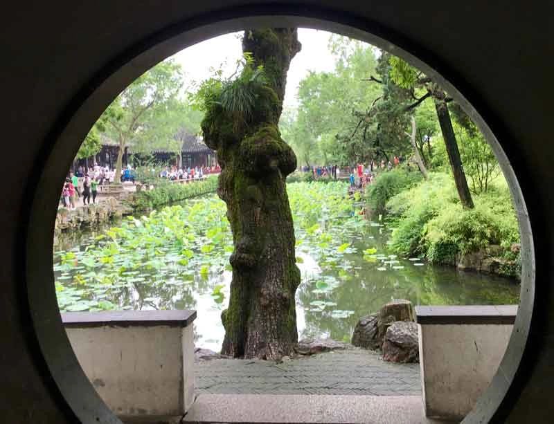 Explore Suzhou’s Classical Gardens — travel photographs