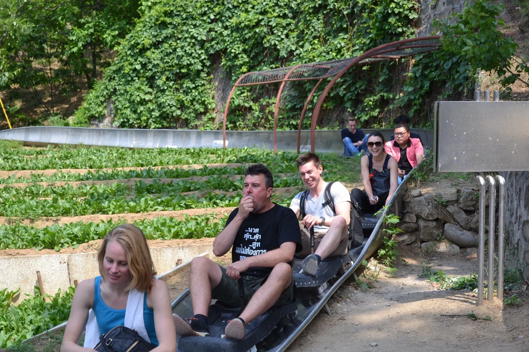 Share the Journey on a Great Wall Group Tour — travel photographs